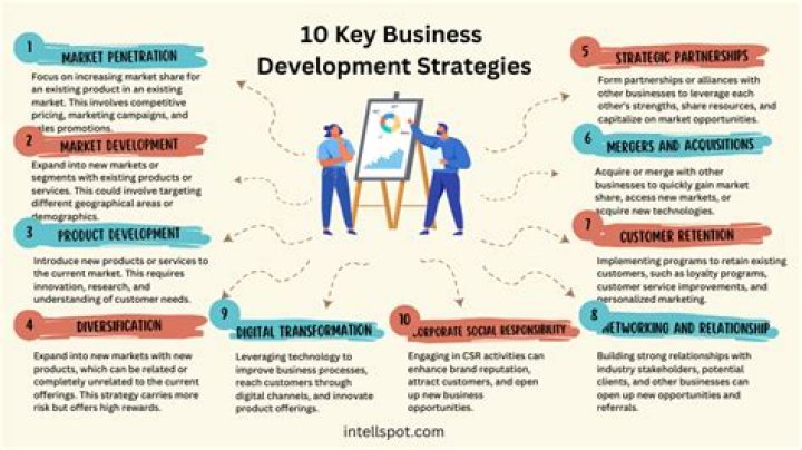 What are the business development strategies?