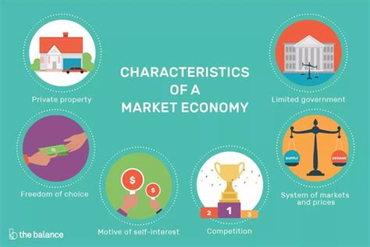 What are the characteristics of market oriented company?