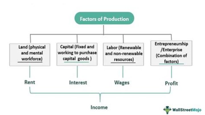 What are the different factors of production class 9?
