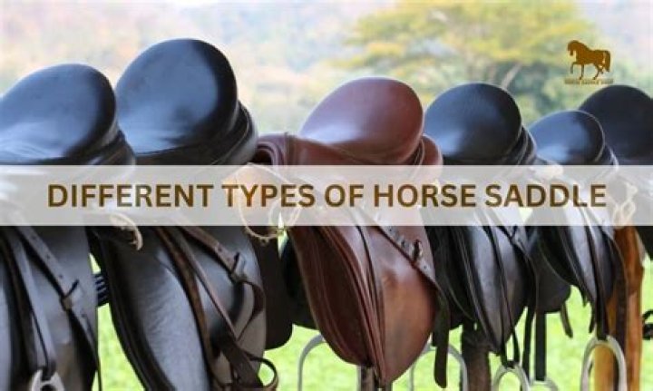 What are the different saddle types?