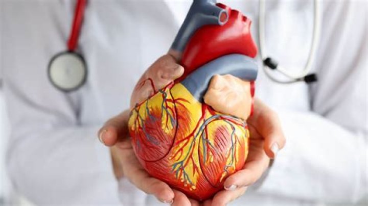 What are the disadvantages of being a cardiologist?