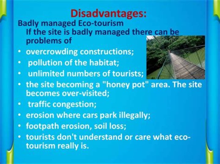 What are the disadvantages of Eco Tourism?