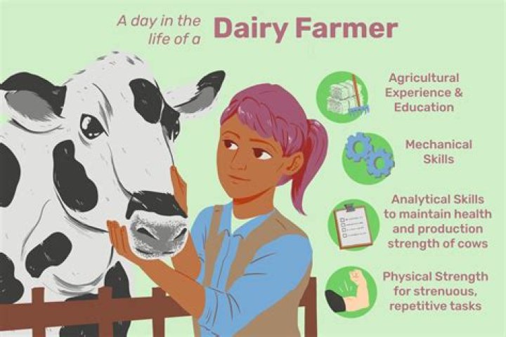 What are the duties of a dairy farmer?