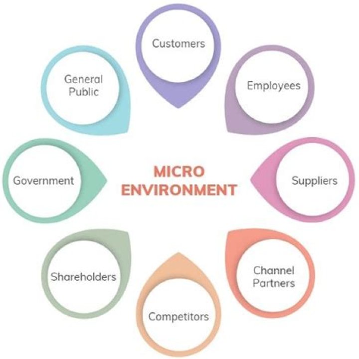 What are the elements of micro environment?