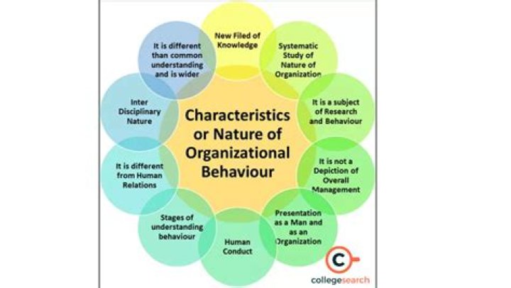 What are the four benefits of studying organizational behavior?