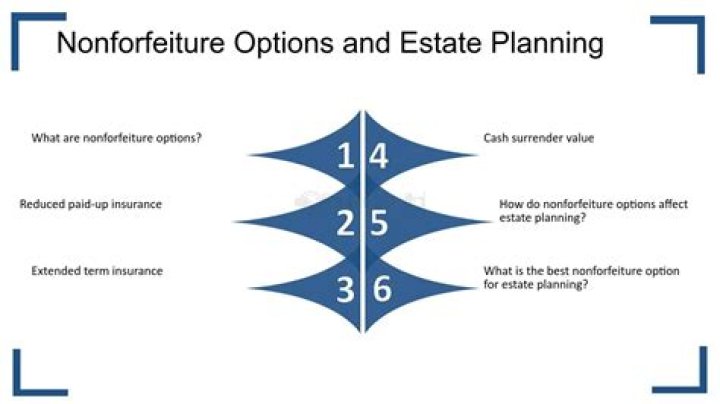 What are the four non forfeiture options?