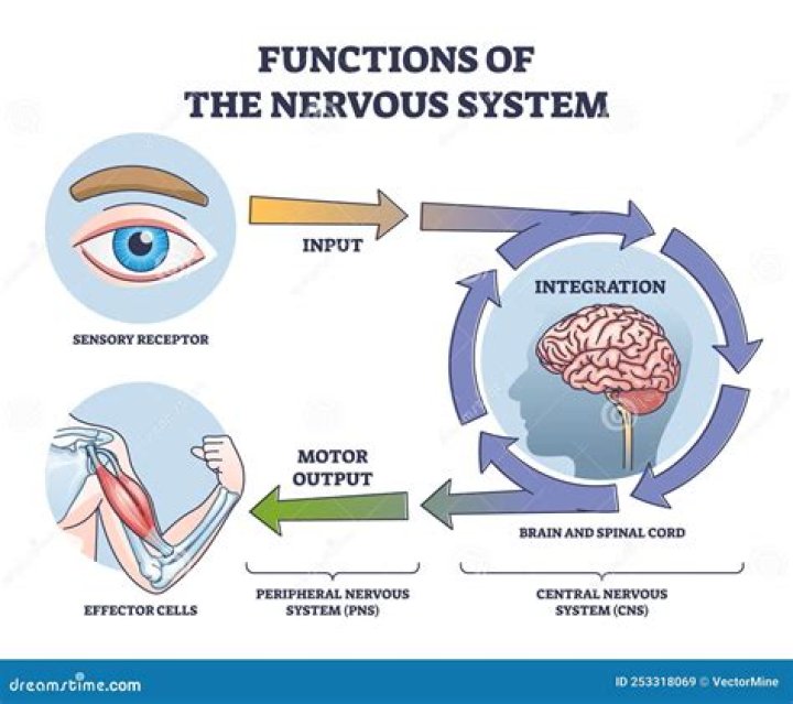 What are the functions of a dispatcher?