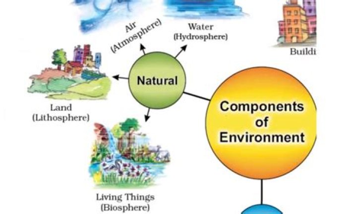 What are the internal environment components?