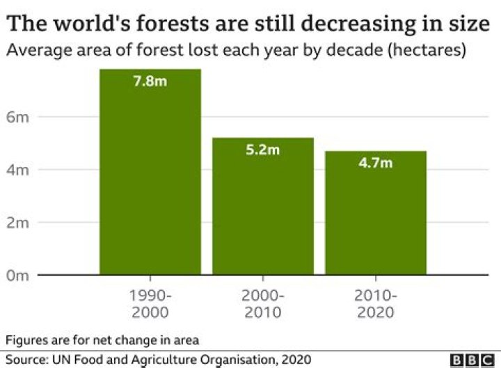 What are the major causes of global forest loss?