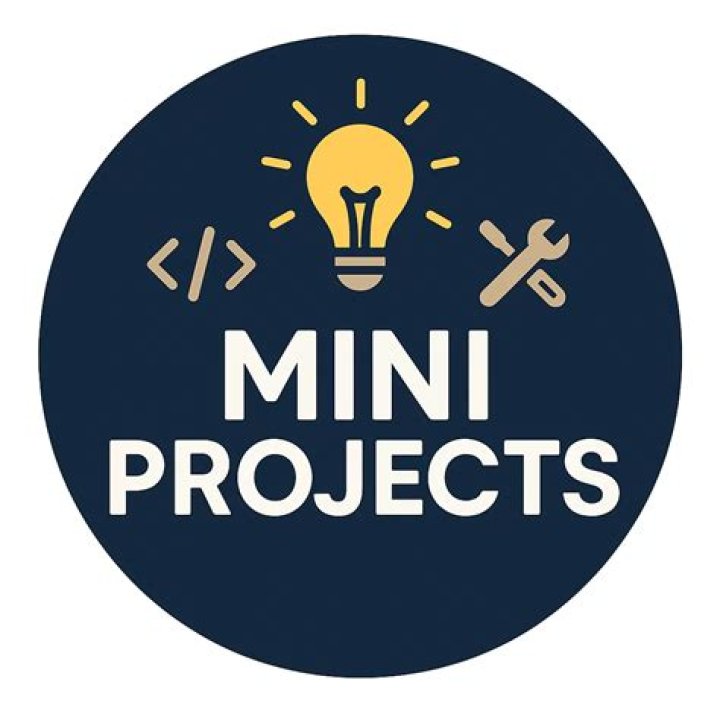 What are the mini projects?