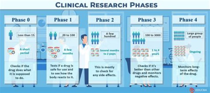 What are the phases of business research?