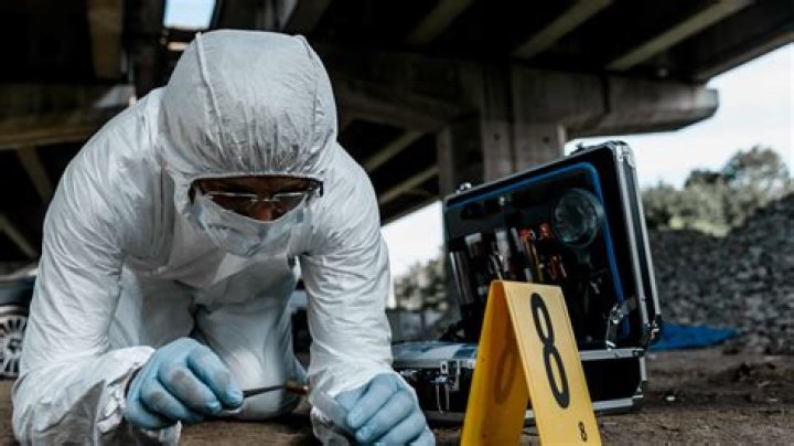 What are the pros and cons of being a forensic scientist?