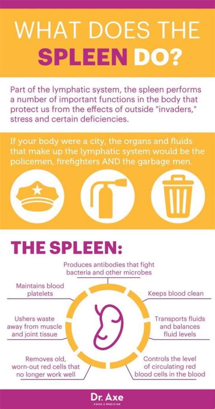 What are the symptoms of spleen problems?
