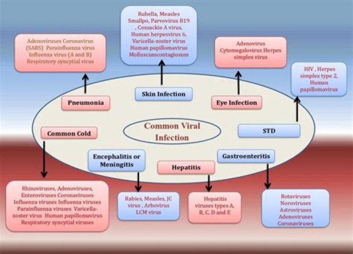 What are the top 5 common viral infections?