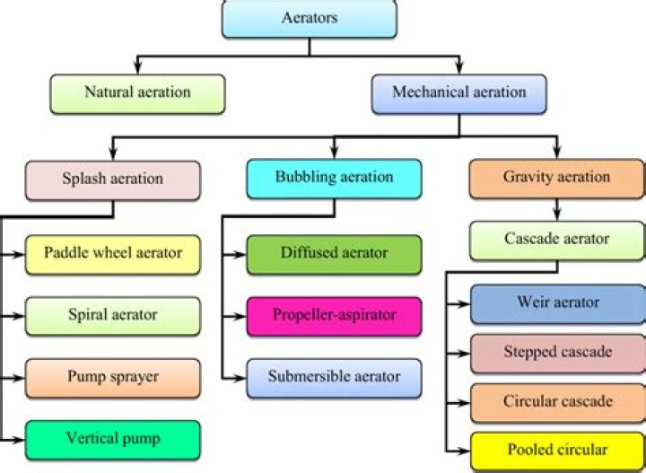 What are the two types of services?