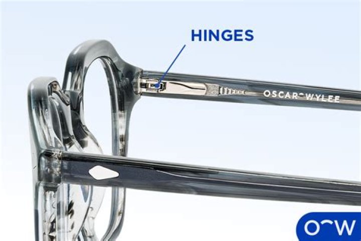 What are the wings on glasses called?