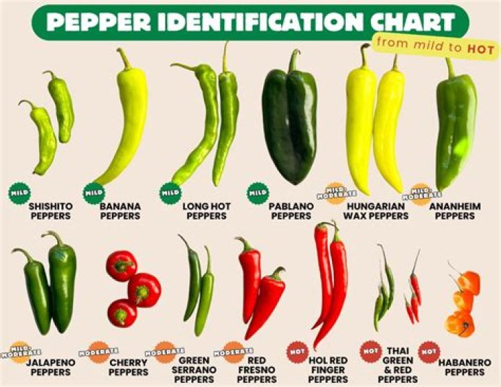 What are tiny sweet peppers called?