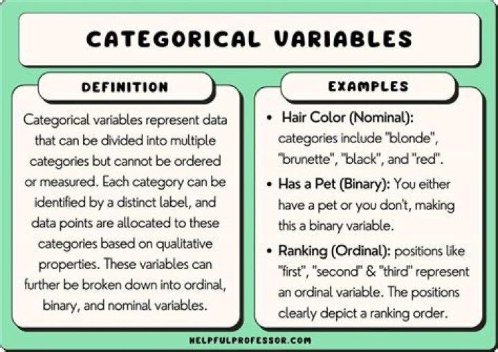 What are two categorical variables?