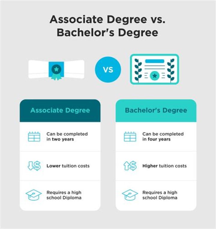 What bachelor degree does a doctor need?