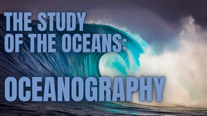What branch studies the ocean?