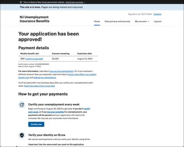 What can disqualify you from unemployment benefits NJ?