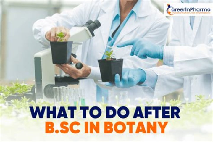 What can I do after BSc botany Hons?