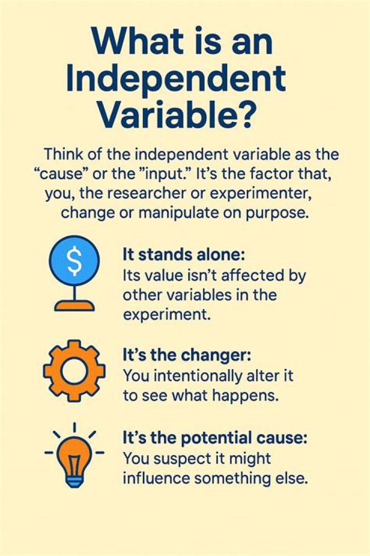 What can you do for an independent study?
