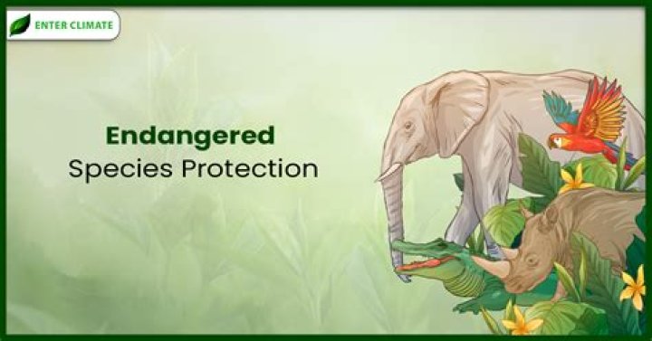What can you write about endangered species?