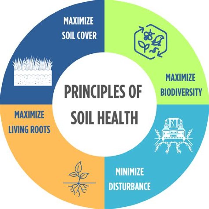 What careers depend on soil management?