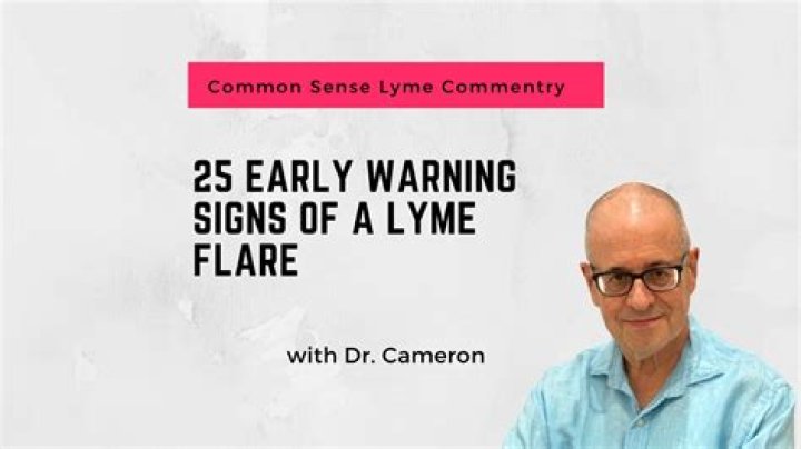 What causes a Lyme flare up?