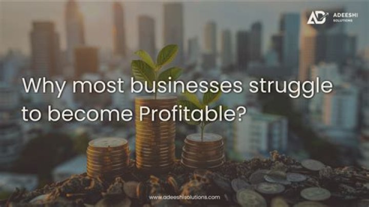 What changes should Toys R Us have implemented to create a profitable business?