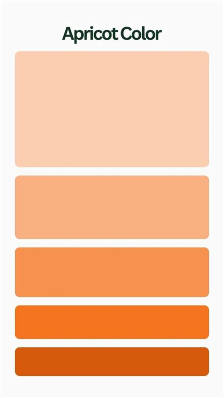 What color shade is apricot?