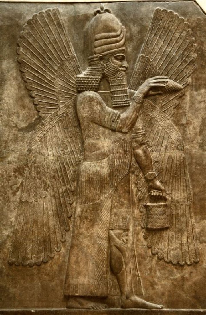 What colors are genies?