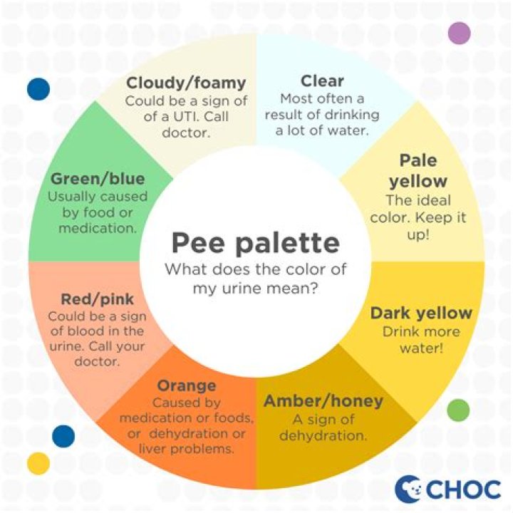 What Colour is bat pee?