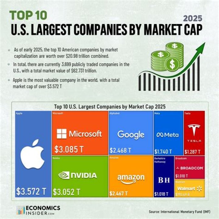 What companies make up the Fortune 500?