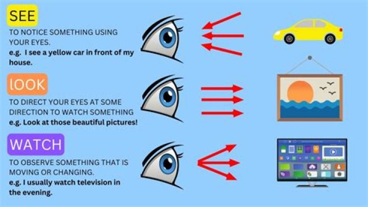 What cultures do not look you in the eye?