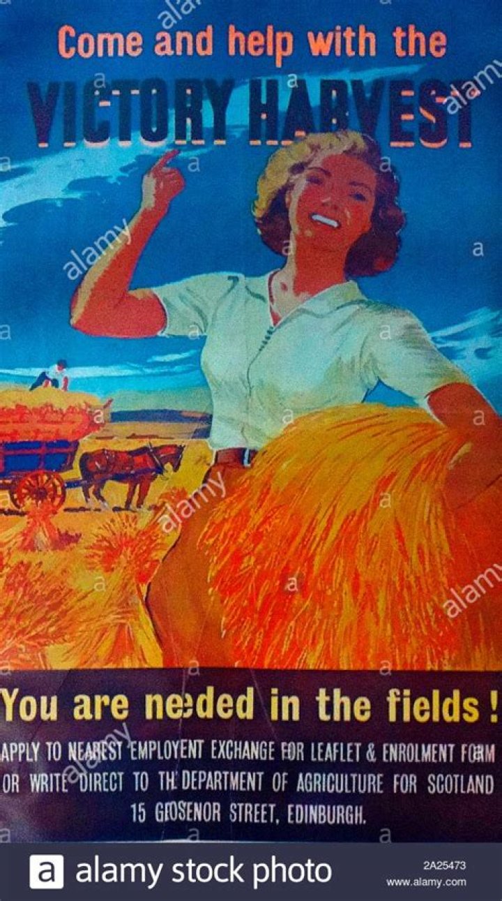 What did civilians do to help the war effort?