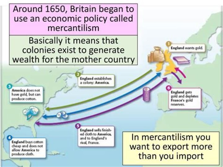 What did France do to make money and benefit the mother country?