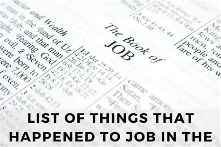 What did Job in the Bible lose?