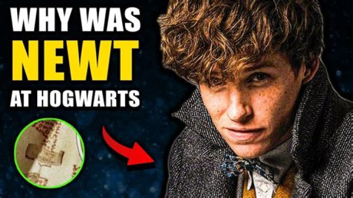 What did Newt Scamander give to Jacob?