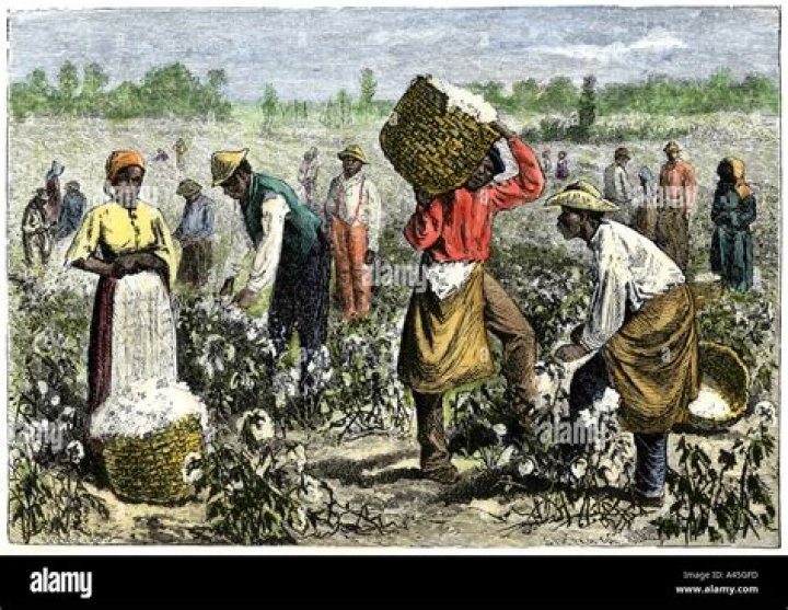 What did slaves do in farms?