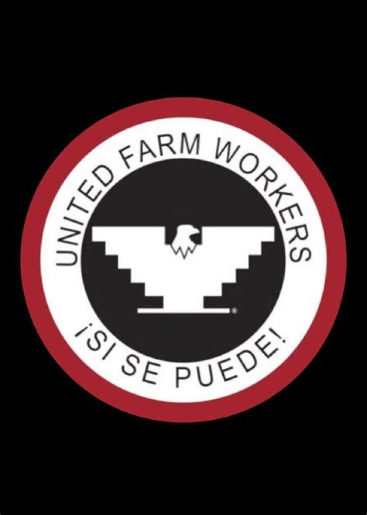 What did the United Farm Workers focus on?