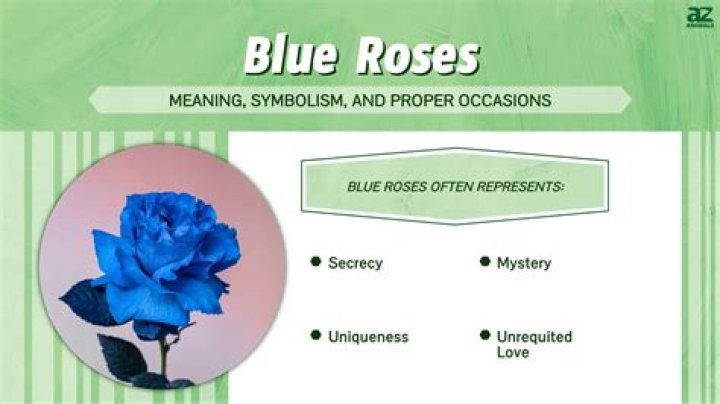 What do blue roses mean?