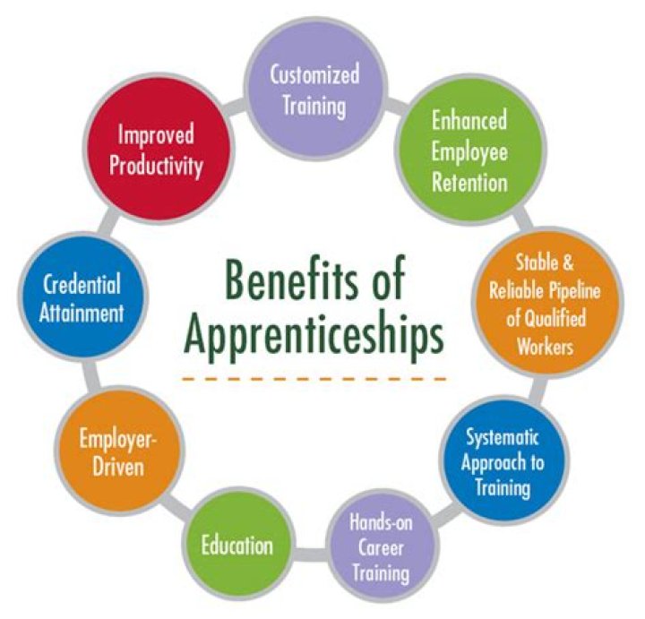 What do employers gain from apprenticeships?