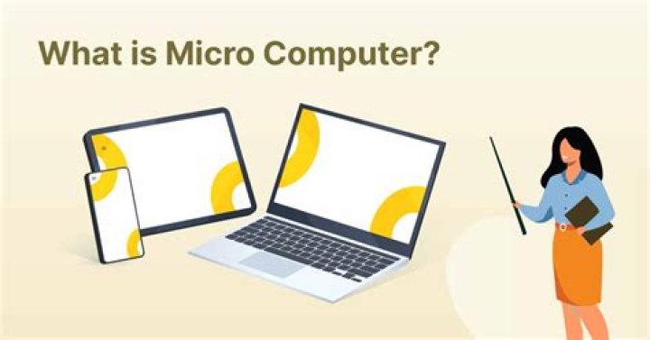 What do microcomputers do?