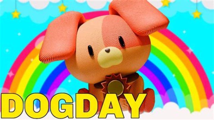 What do you do the day your dog dies?