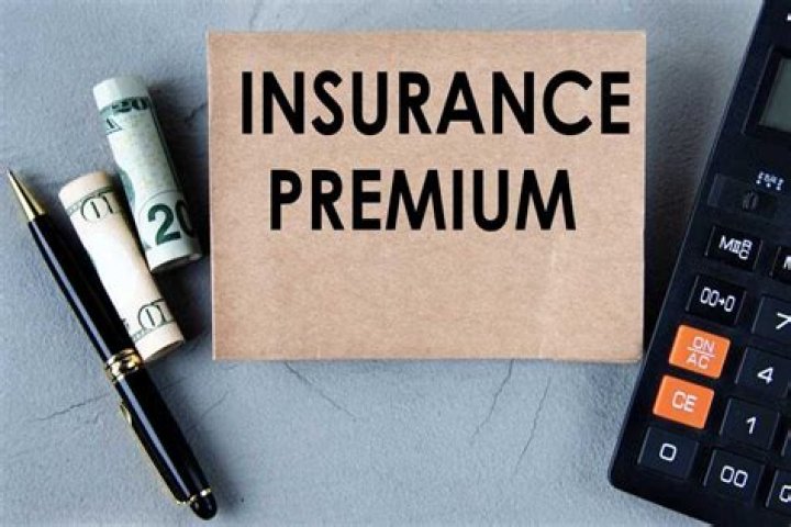 What do you mean by premium in insurance?