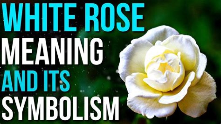 What does 9 white roses mean?