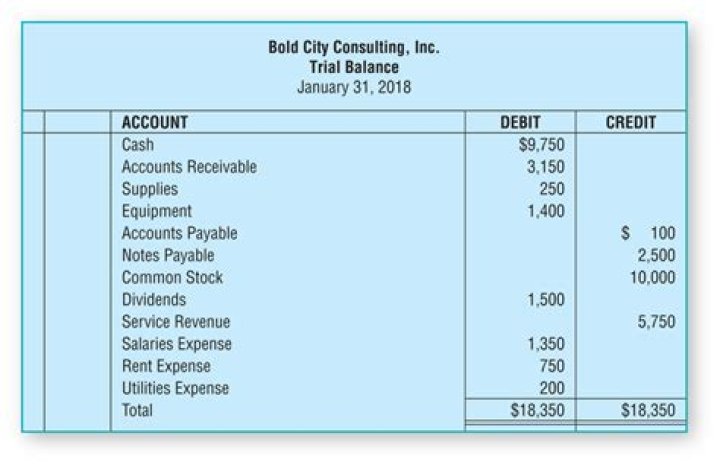What does a trial balance show?