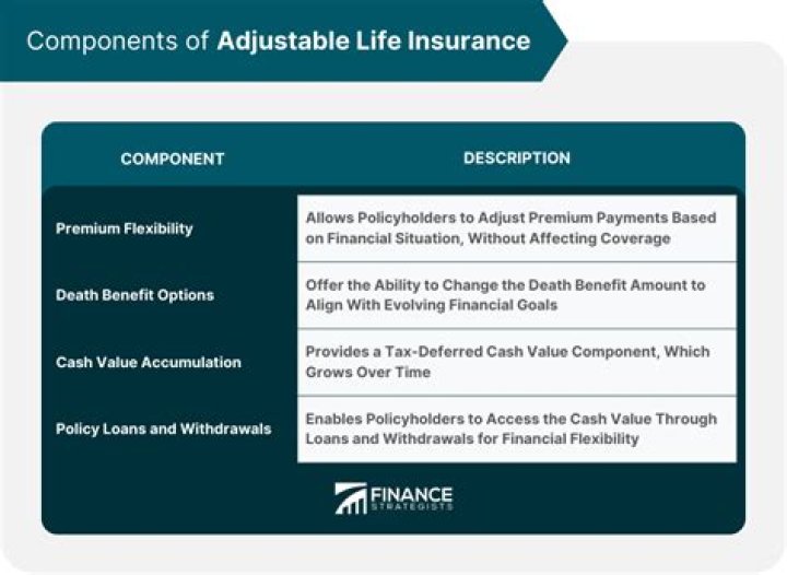 What does adjustable life insurance mean?